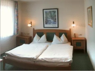 Landgasthof Zur Bruecke Wiesentheid Guest house
